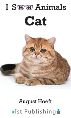 Pisică - Cat
