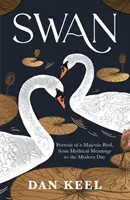 Lebăda - Portretul unei păsări maiestuoase, de la semnificațiile mitice până în zilele noastre - Swan - Portrait of a Majestic Bird, from Mythical Meanings to the Modern Day