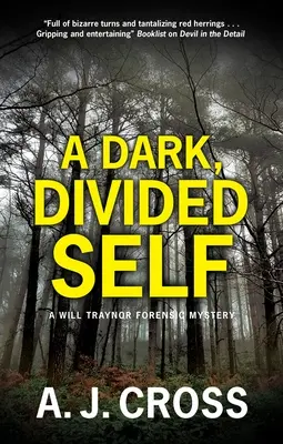 Un sine întunecat, divizat - A Dark, Divided Self