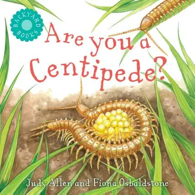 Ești un Centipede? - Are You a Centipede?