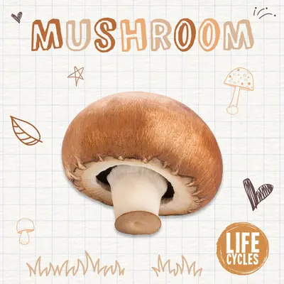 Ciupercă - Mushroom