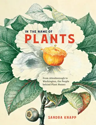 În numele plantelor: De la Attenborough la Washington, oamenii din spatele numelor de plante - In the Name of Plants: From Attenborough to Washington, the People Behind Plant Names
