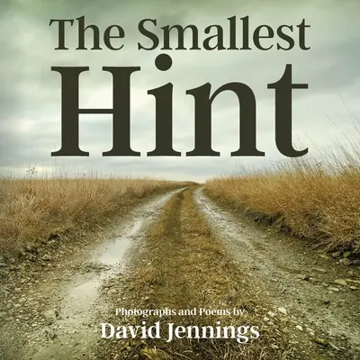 Cel mai mic indiciu - The Smallest Hint