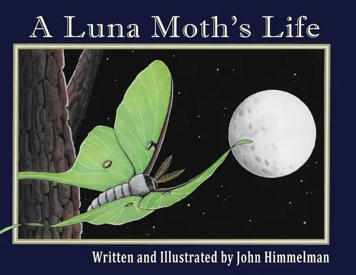 Viața unei molii Luna - A Luna Moth's Life