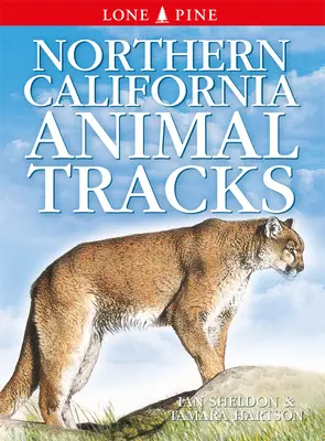 Urme de animale din California de Nord - Northern California Animal Tracks