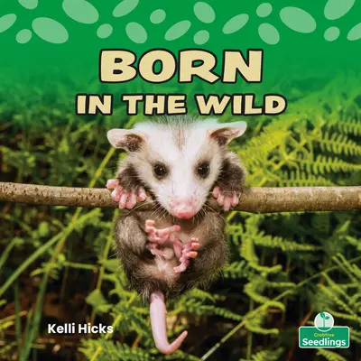 Născut în sălbăticie - Born in the Wild