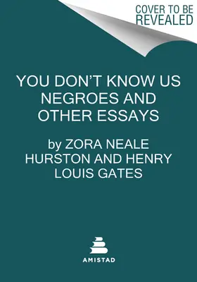You Don't Know Us Negroes și alte eseuri - You Don't Know Us Negroes and Other Essays