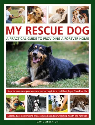 Câinele meu de salvare - My Rescue Dog