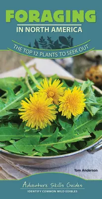 Recoltarea plantelor în America de Nord: Cele mai importante 12 plante de căutat - Foraging in North America: The Top 12 Plants to Seek Out