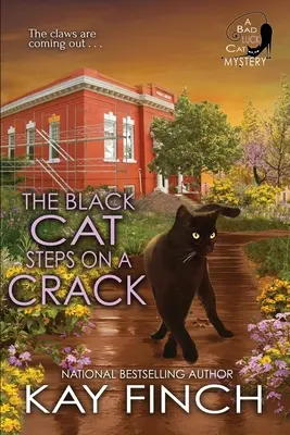 Pisica neagră calcă pe o crăpătură - The Black Cat Steps on a Crack
