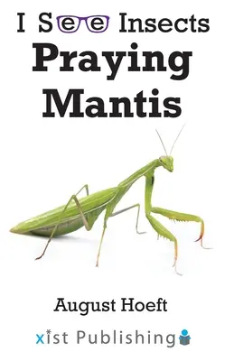 Mantită rugătoare - Praying Mantis