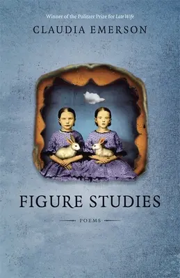 Studii despre figuri - Figure Studies