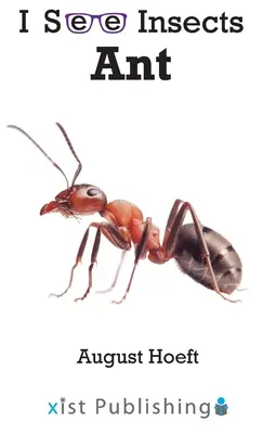 Furnică - Ant