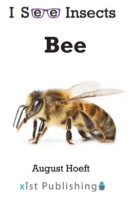 Albină - Bee