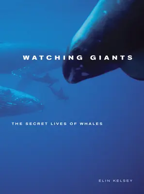Watching Giants: Viețile secrete ale balenelor - Watching Giants: The Secret Lives of Whales