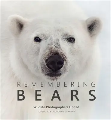 Amintirea urșilor - Remembering Bears