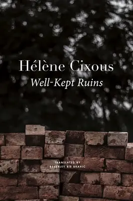 Ruine bine păstrate - Well-Kept Ruins