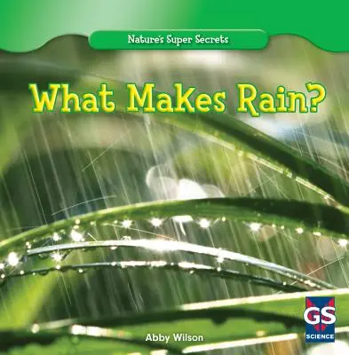 Ce face ploaia? - What Makes Rain?