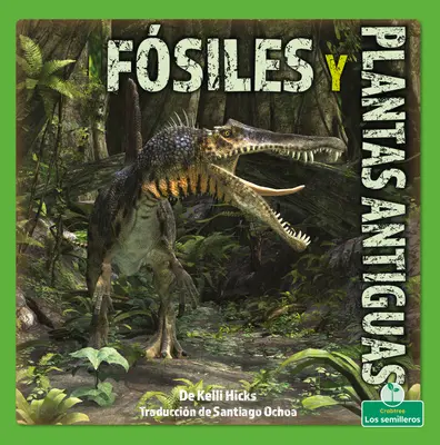 Fsiles Y Plantas Antiguas (Fosile și plante antice) - Fsiles Y Plantas Antiguas (Fossils and Ancient Plants)