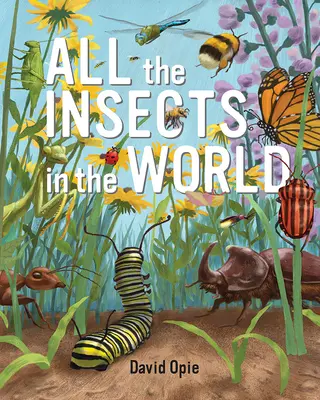 Toate insectele din lume (All the Insects in the World) - All the Insects in the World