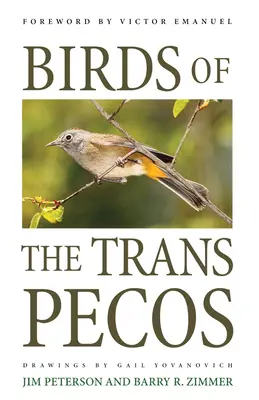 Păsările din Trans-Pecos - Birds of the Trans-Pecos