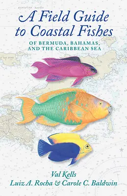 A Field Guide to Coastal Fishes of Bermuda, Bahamas, and the Caribbean Sea (Ghid de teren pentru peștii de coastă din Bermuda, Bahamas și Marea Caraibilor) - A Field Guide to Coastal Fishes of Bermuda, Bahamas, and the Caribbean Sea