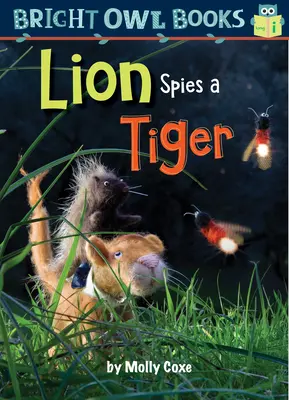 Leul spionează un tigru - Lion Spies a Tiger