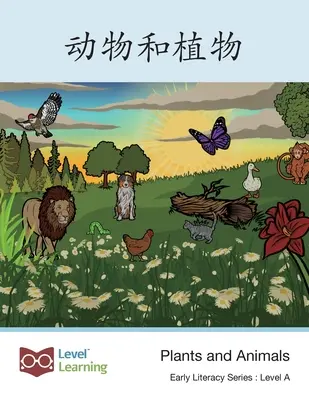 动物和植物: Plante și animale - 动物和植物: Plants and Animals