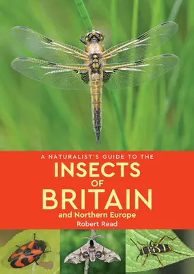 Ghidul naturalist al insectelor din Marea Britanie și Europa de Nord (A Naturalist's Guide to the Insects of Britain & Northern Europe) - A Naturalist's Guide to the Insects of Britain & Northern Europe