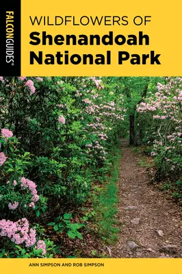 Flori sălbatice din Parcul Național Shenandoah: Un ghid de teren al florilor sălbatice din parc - Wildflowers of Shenandoah National Park: A Field Guide to the Park's Wildflowers