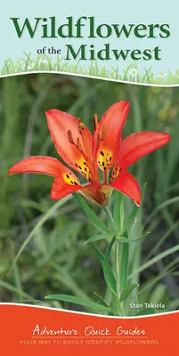 Wildflowers of the Midwest: Modul tău de a identifica cu ușurință florile sălbatice - Wildflowers of the Midwest: Your Way to Easily Identify Wildflowers