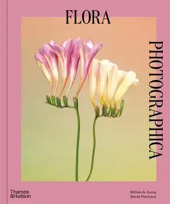 Flora Photographica: Floarea în fotografia contemporană - Flora Photographica: The Flower in Contemporary Photography
