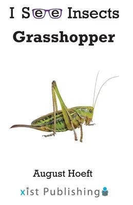 Lăcustă - Grasshopper