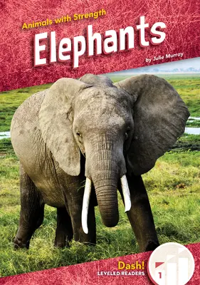 Elefanți - Elephants