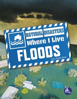 Inundații - Floods