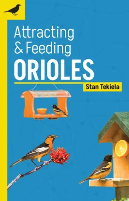Atragerea și hrănirea oriolelor - Attracting & Feeding Orioles