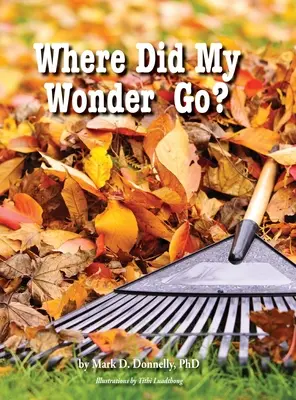 Unde a dispărut minunea mea? - Where Did My Wonder Go?