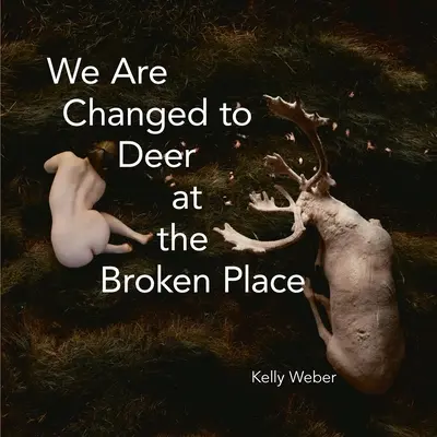 Suntem schimbați la cerb în locul rupt - We Are Changed to Deer in the Broken Place