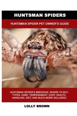 Păianjenii Huntsman: Ghidul proprietarului de păianjeni Huntsman - Huntsman Spiders: Huntsman Spider Pet Owner's Guide