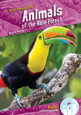 Animale din pădurea tropicală - Animals of the Rain Forest