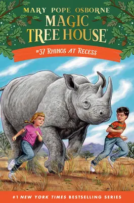Rinocerii la recreație - Rhinos at Recess