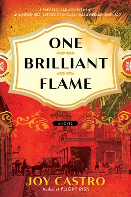 O flacără strălucitoare - One Brilliant Flame
