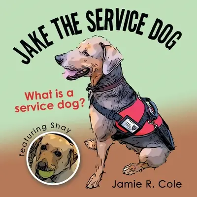 Jake, câinele de serviciu: Ce este un câine de serviciu? - Jake the Service Dog: What Is a Service Dog?
