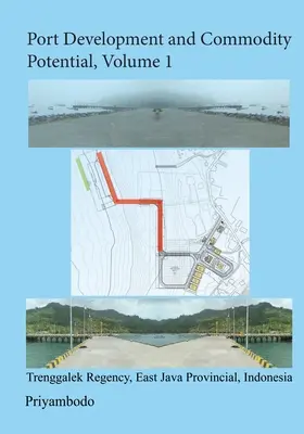 Dezvoltarea porturilor și potențialul produselor de bază - Port Development and Commodity Potential