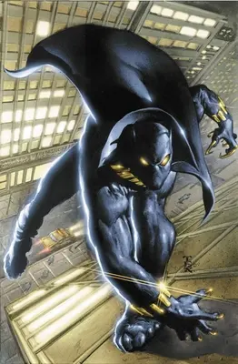 Black Panther de Christopher Priest Omnibus Vol. 1 - Black Panther by Christopher Priest Omnibus Vol. 1