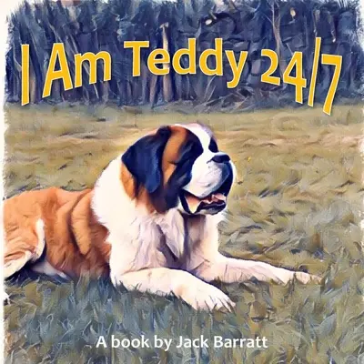 Eu sunt Teddy 24/7 - I Am Teddy 24/7