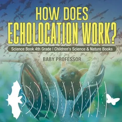 Cum funcționează ecolocația? Carte de știință pentru copii de clasa a 4-a Cărți de știință și natură - How Does Echolocation Work? Science Book 4th Grade Children's Science & Nature Books