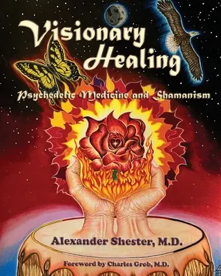 VISIONARY HEALING Medicina psihedelică și șamanismul - VISIONARY HEALING Psychedelic Medicine and Shamanism