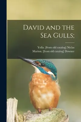 David and the Sea Gulls (David și pescărușii); - David and the Sea Gulls;
