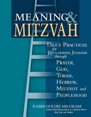 Sens și Mitzvah: Practici zilnice de recuperare a iudaismului prin rugăciune, Dumnezeu, Tora, ebraică, mitzvot și popor - Meaning & Mitzvah: Daily Practices for Reclaiming Judaism Through Prayer, God, Torah, Hebrew, Mitzvot and Peoplehood
